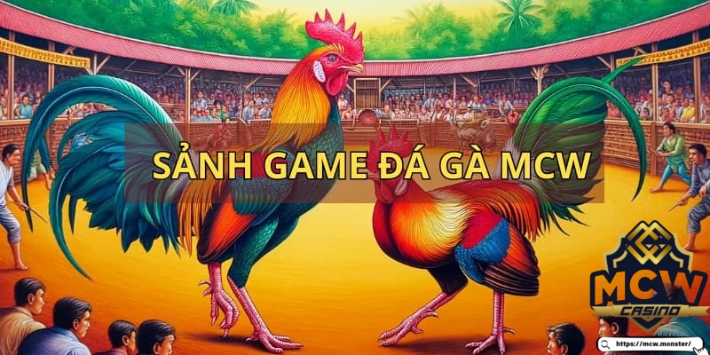 Sảnh game đá gà MCW thu hút rất nhiều tay chơi tham gia