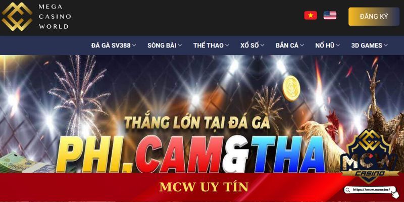 Tìm hiểu thông tin về MCW